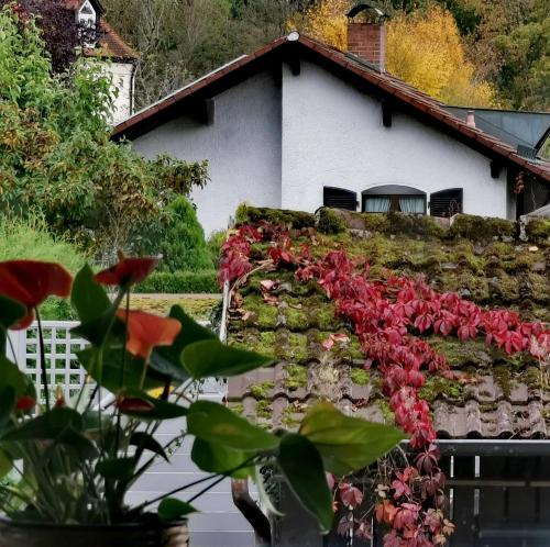 a house with a stone wall with red flowers at Moderne Ferienwohnung im Herzen von Bad Waldsee in Bad Waldsee