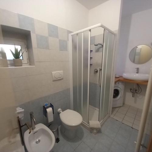 a bathroom with a shower and a toilet and a sink at CasaEndine in Ranzanico