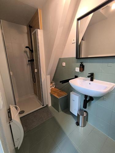 a bathroom with a sink and a shower at Waldnest Eifel in Kerschenbach