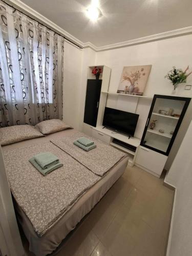 Pritty Apartement Baltico Torrevieja photo 12