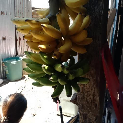 Fotografie z fotogalerie ubytování Knk v destinaci San Isidro