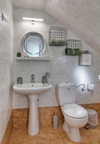 a bathroom with a toilet and a sink and a mirror at Theasis Serenity Residence, Panoramic Sea View Villa with Private Pool in Sklavedhiákos