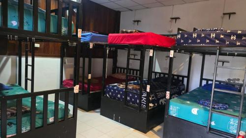 a group of bunk beds in a room at Sunny hostel in Pai