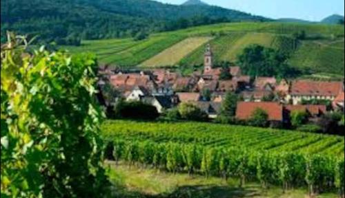 a small town in the middle of a green field at le Roy de coeur in Riquewihr