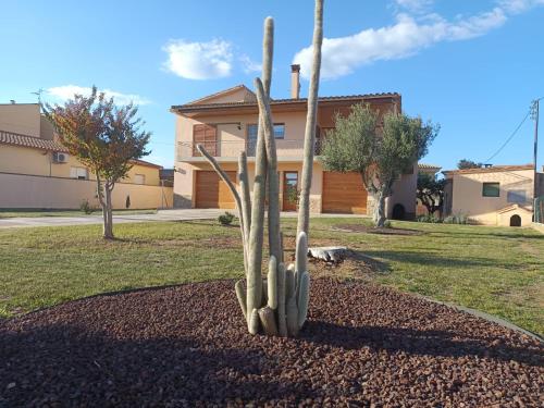 a cactus in a yard in front of a house at El Roure in Navata