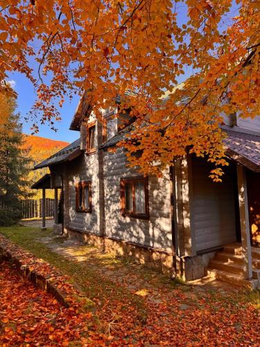 a house with autumn leaves on the side of it at Gray House in Pilipets