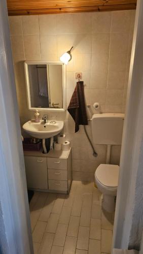 a bathroom with a sink and a toilet and a mirror at House in garden in Nea Kalikratia