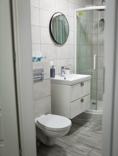 a bathroom with a toilet and a sink and a mirror at Apartament Oslo in Pniewy