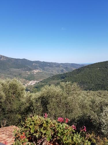 Φυσικό τοπίο κοντά σε αυτό το διαμέρισμα