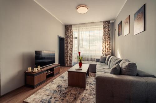 サモコフにあるRila Zen Apartmentのソファとテレビのあるリビングルーム