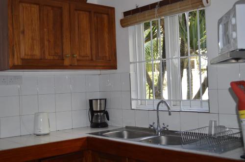 a kitchen counter with a sink and a window at Kenville in Cap Malheureux