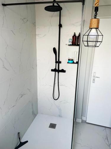 a shower with a glass door and aendant light at Maison rénové - Centre Cambrai in Cambrai