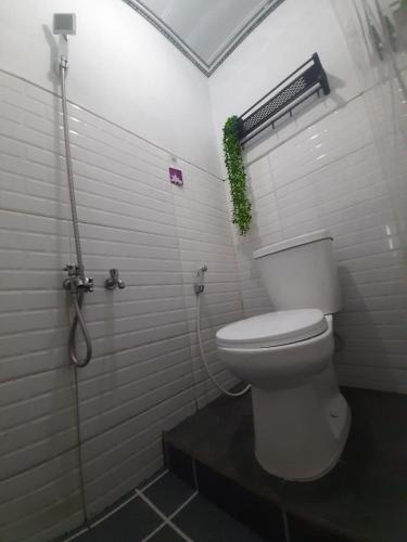 a white bathroom with a toilet and a shower at Villa Castanea Dieng in Diyeng