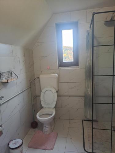 Ένα μπάνιο στο Pogled na Romaniju