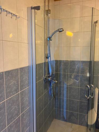 a shower with a glass door in a bathroom at Beautiful studio with sauna, balcony in Rauma