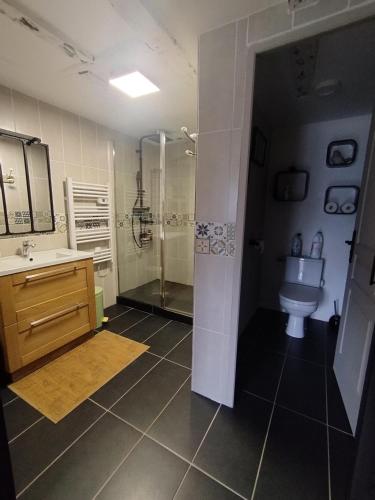 a bathroom with a shower and a sink and a toilet at Gîte de la croix in La Croix-Helléan