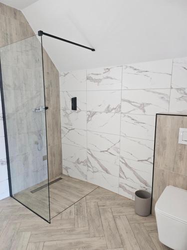 a bathroom with a shower and a toilet at Barn&Haus-Stodoły Widokowe in Zubrzyca Dolna