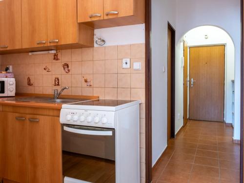 a kitchen with a sink and a white dishwasher at Apartment ProFamily by Interhome in Jáchymov