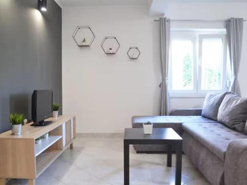 Apartment Beg-1 by Interhome
