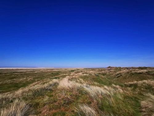 un campo de hierba con un cielo azul de fondo en Luxury Retreat near Beach - By Traum Ferienwohnungen, en Fanø