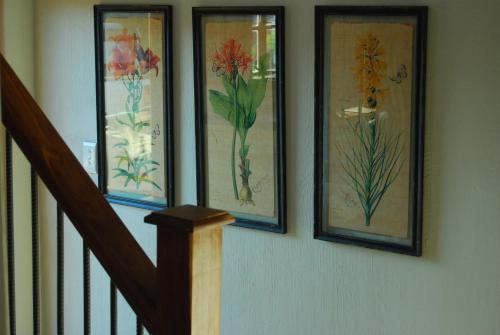 three pictures of flowers on a wall next to a staircase at 20 Mount Champagne in Champagne Valley