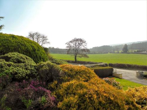 un jardin avec des fleurs et un banc dans un champ dans l'établissement Holiday Home Bolams - TR2 Holiday Home by Interhome, à Thomastown
