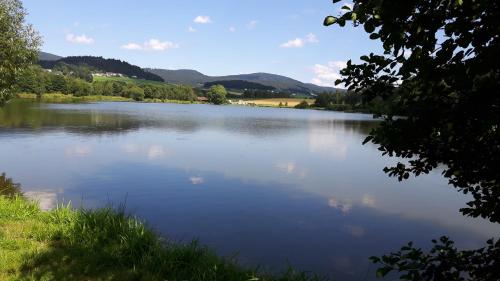 a large body of water with mountains in the background at Marga`s Ferienwohnung in Lembach im Mühlkreis