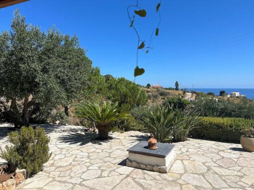 a garden with a stone bench and plants at A Casuzza di Poggio Scopello in Scopello