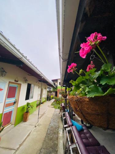 a potted plant sitting on the side of a building at Hostal Don Jose in Santa Rosa de Cabal