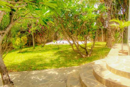 Ảnh trong thư viện ảnh của Mwazhouse ở Watamu