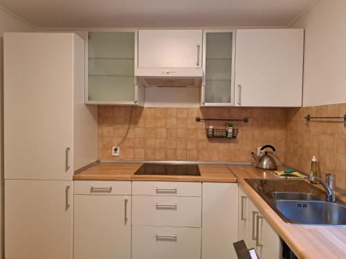 O bucătărie sau chicinetă la Appartement Alpenheim