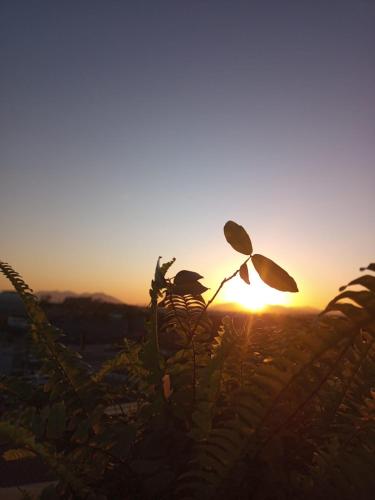 Gallery image of Arvore da Vida Pousada in Itaguaí