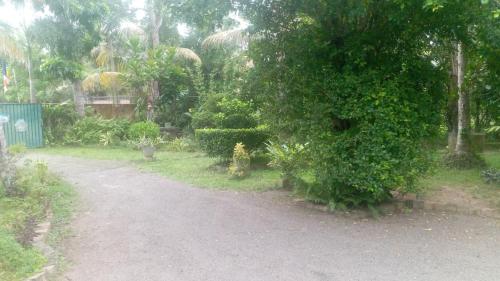a dirt road next to a large green bush at Homestead Villa-Polwatta in Welihinda