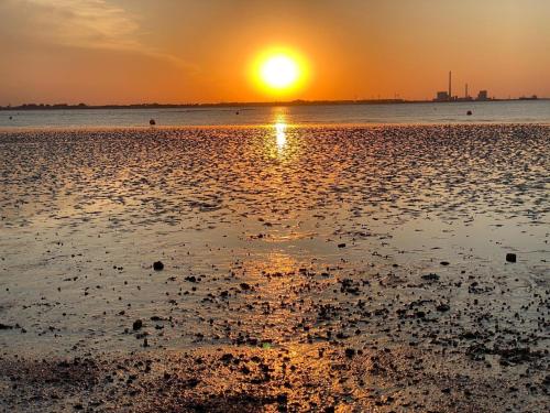 a sunset on a beach with the sun setting at In't Noord Koje in Stick