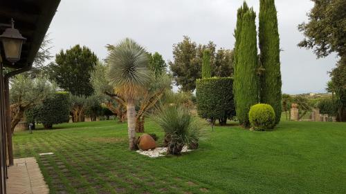 a garden with a palm tree in the grass at Aquilamaior in Tragliata