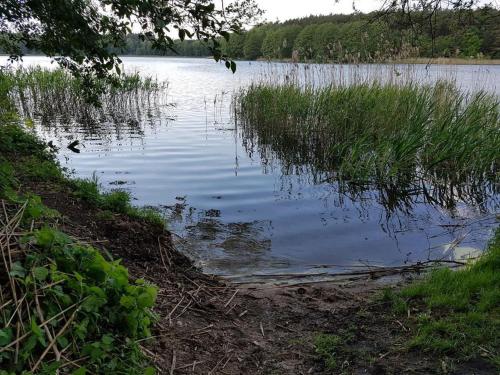 Fotografie z fotogalerie ubytování Bungalow Stuebner v destinaci Barnin