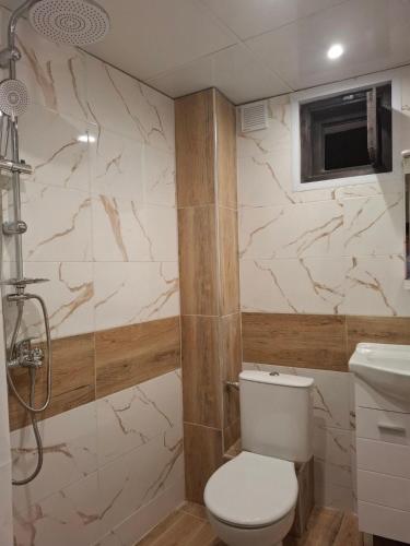 a bathroom with a toilet and a sink at Dermendzhiev Apartments Melnik in Melnik