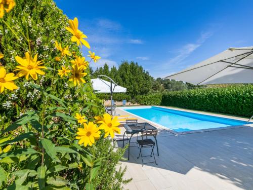 a garden with yellow flowers next to a swimming pool at Apartment Nido by Interhome in Trequanda