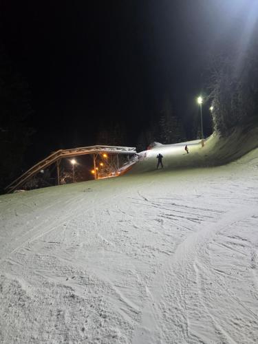 Ljupki studio apartman sa kaminom en invierno