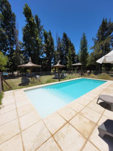 a swimming pool in a yard with trees at RIO ARRIBA in Colón