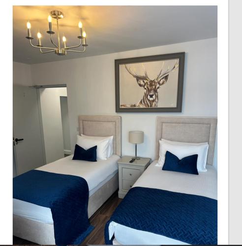 a bedroom with two beds with blue sheets and a deer picture at Auld Shebeen in Moate