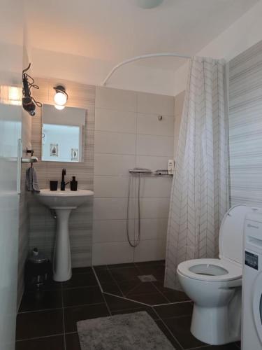 a bathroom with a toilet and a sink at Lena Apartman in Senta