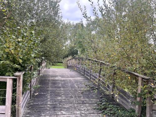 Naturlandschaft in der Nähe des Ferienhauses