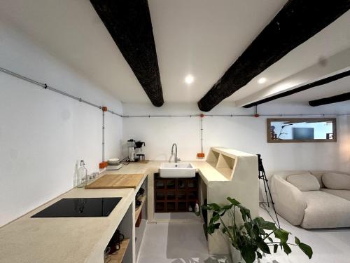 Le loft industriel tesisinde mutfak veya mini mutfak