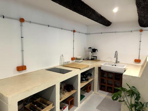Le loft industriel tesisinde mutfak veya mini mutfak