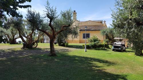a tree in the yard of a house at Aquilamaior in Tragliata