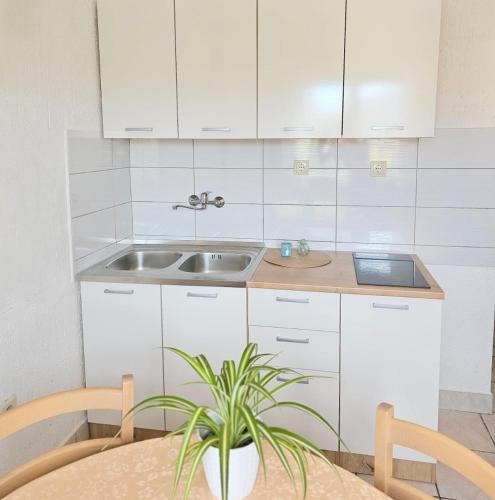 Apartments Ruza