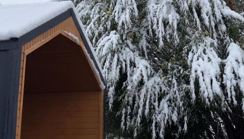 Kolsay and Kaiyndy lakes COZYREST v zimě