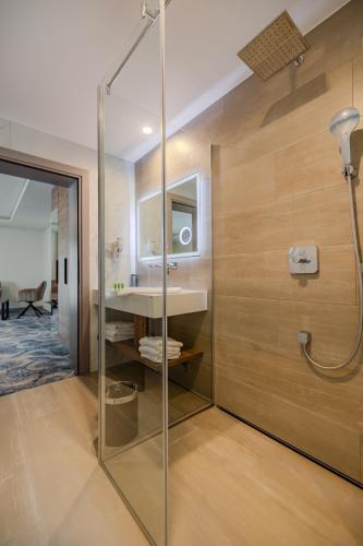 a bathroom with a shower and a sink at La MOONte in Păltiniş