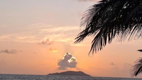 Naturlandskabet i nærheden af lejligheden